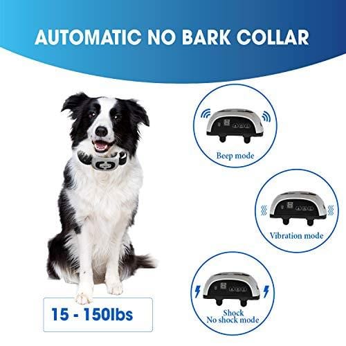 MONTAUR 2019 Automatic Bark Collar - Upgraded Rechargeable Barking Collar for Dogs - Newest Version Waterproof Bark Control Collar - Humane and Safe Dog Bark Collar for Dogs