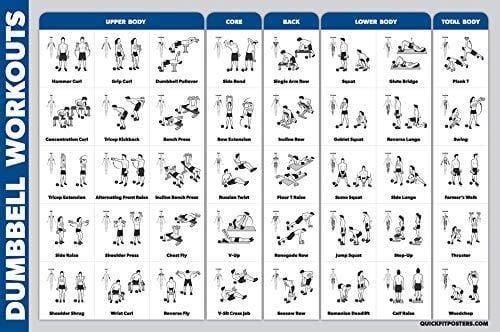 Palace Learning Dumbbell Workout Exercise Poster - Free Weight Body Building Guide | Home Gym Chart | Laminated, 18" x 27"