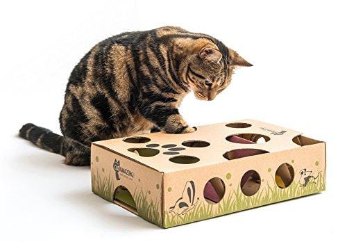 Cat Amazing - Best Cat Toy Ever! Interactive Treat Maze & Puzzle Feeder for Cats