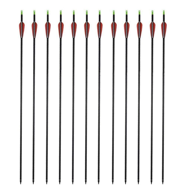 GPP Carbon 30-Inch Arrows with Field Points Replaceable Tips (12 Pack) for Recuve Bow & Compound Bow