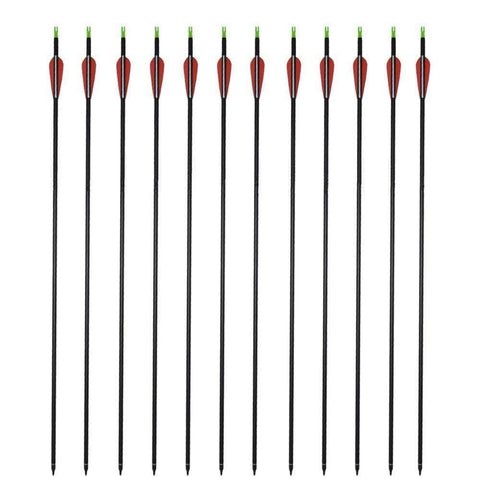 GPP Carbon 30-Inch Arrows with Field Points Replaceable Tips (12 Pack) for Recuve Bow & Compound Bow