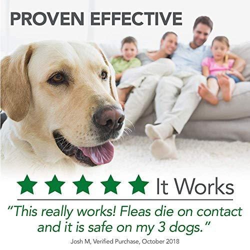 Vet's Best Flea and Tick Home Spray | Flea Treatment for Dogs and Home | Flea Killer with Certified Natural Oils | 32 Ounces