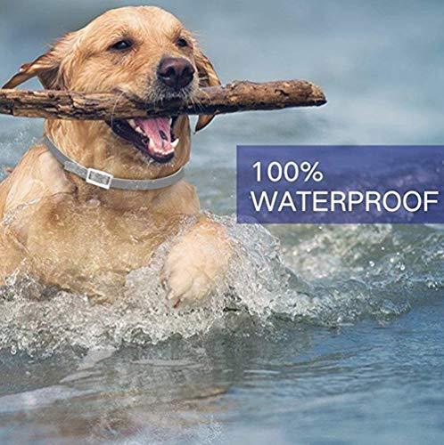 Adjustable Flea and Tick Collar for Dog, Pet Anti-Mosquito Collar 2 Pack Anti-Flea Anti-Mosquito Natural Insect Essential Oil Anti-Mite Pet Collar