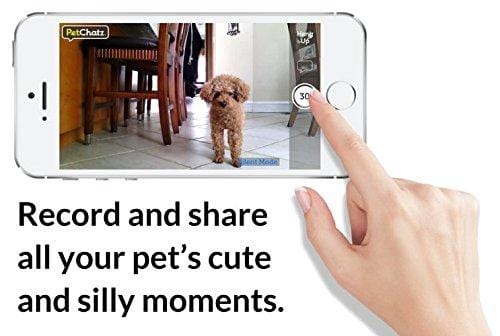 PetChatz HD: two-way premium audio/HD video pet treat camera w/ DogTv, smart video recording, calming aromatherapy, and motion/sound detection (as seen on The Today Show)