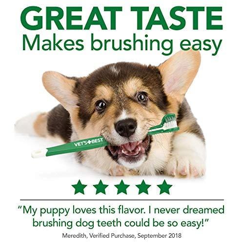 Vet's Best Dog Toothbrush and Enzymatic Toothpaste Set | Teeth Cleaning and Fresh Breath Kit with Dental Care Guide| Vet Formulated