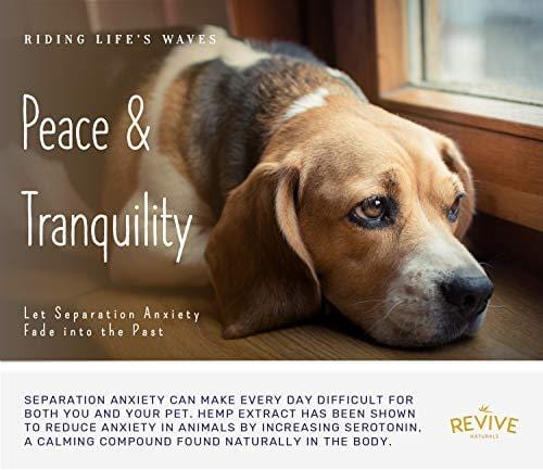 Organic Hemp Oil Extract for Dogs & Cats - 250MG - Helps Relief Joint Pain, Anxiety & Hips Pain for Dog & Cat. Pets Calming Treats. Zero THC, Full Spectrum Hemp Extract, Natural Arthritis Supplement.