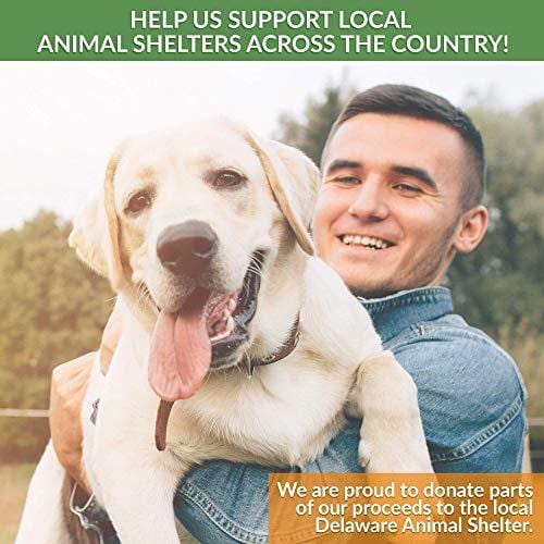 Hemp Hip and Joint Supplement for Dogs 120 Soft chews - Improves Mobility, Reduces Pain and Inflammation with Organic Hemp Oil, Turmeric, Green Lipped Mussel, Coconut oil,Omega 3-6 - MADE IN USA