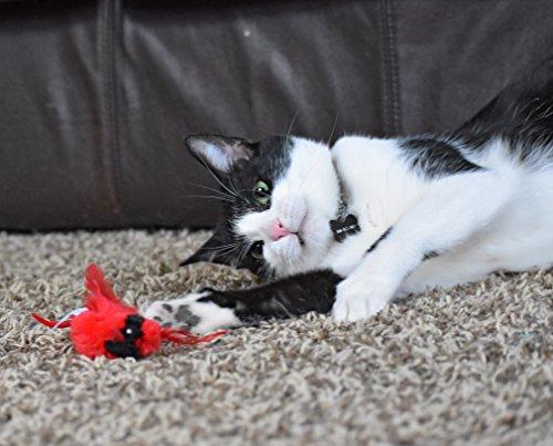 OurPets Play-N-Squeak Real Birds Fly Over Interactive Cat Toy