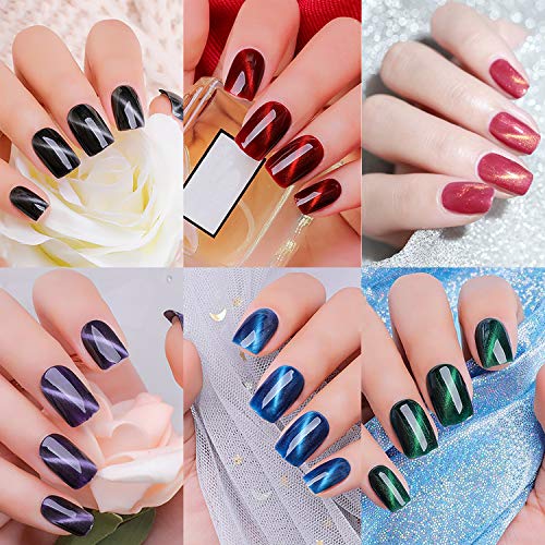 Homost 3D Cat Eye Gel Nail Polish Set, 6 Colors UV LED Gel Nail Polish Kit, Starter Gel Nail Manicure DIY Kit