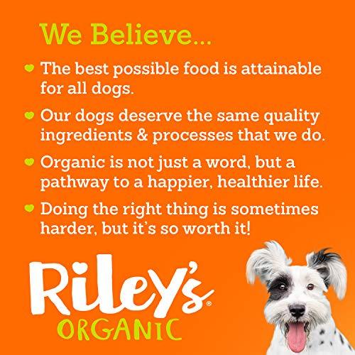 Riley's Organic Dog Treats - Large Bone Pumpkin & Coconut Dog Treats - USDA Organic, Certified Vegan and Non GMO Project Verified Dog Biscuits - 100% Human Grade - 9 Oz Carton
