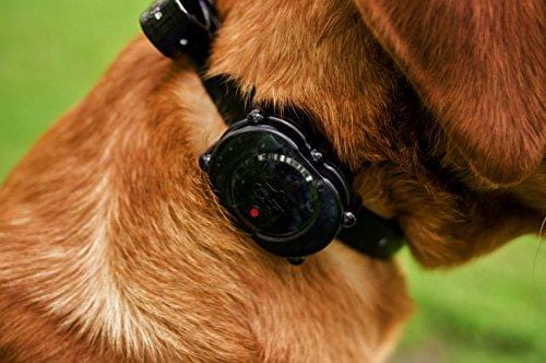 DT Systems IDT-PLUS Micro Dog Trainer Collar Receiver and Transmitter