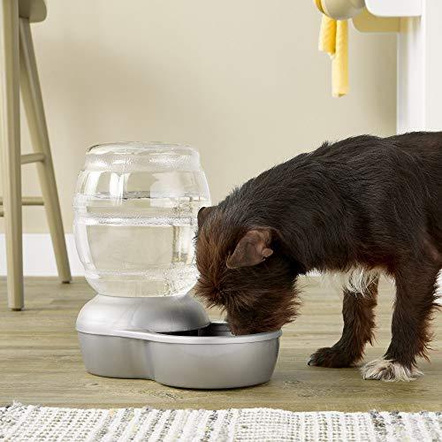 Petmate Replendish Gravity Waterer with Microban Cat and Dog Water Dispenser 4 Sizes