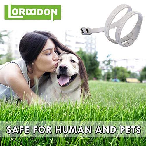 Flea and Tick Prevention Collar One Size Fits All Dogs and Cats Flea and Tick Control with Adjustable Design