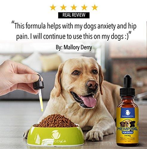 NatulabUSA - Hemp Oil For Dogs & Pets - Fast Results - Dog Anxiety & Stress Relief - Dog Arthritis & Joint Health - APPLY TO TREATS - Separation Anxiety Relief - Organic Hemp Seed Oil - 250mg - 1oz