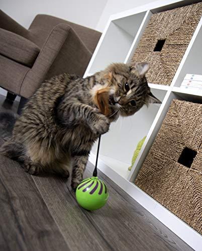 SmartyKat Feather Whirl Electronic Motion Cat Toy, As Seen On TV