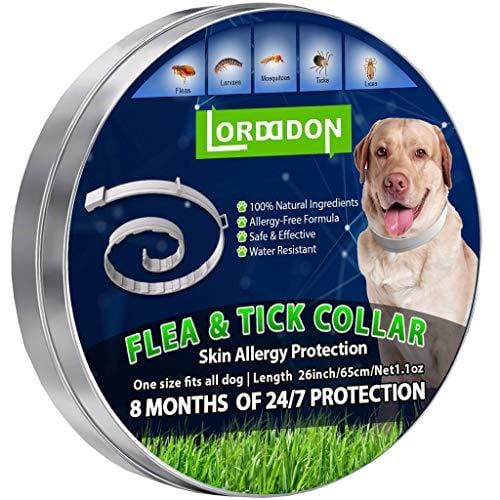 Flea and Tick Prevention Collar One Size Fits All Dogs and Cats Flea and Tick Control with Adjustable Design