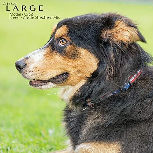 American Flag Dog Collar in 5 Different Sizes Classic (Large)