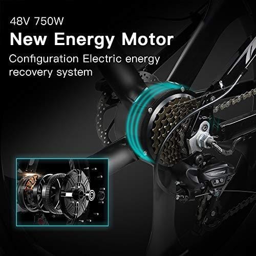 W Wallke 26 inch Folding Aluminum Electric Bike 48V 10.4ah Removable Battery Fat Tire Snow Mountain Bike 750W Beach Cruiser Adult Assisted E-Bike Double Disc Hydraulic Brake