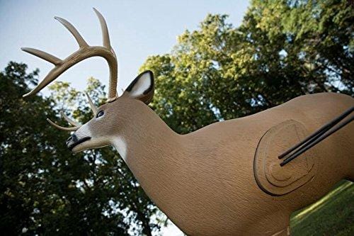 Field Logic Big Shooter Buck 3D Archery Target with Replaceable Insert Core