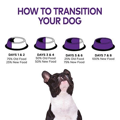 Wellness Complete Health Natural Dry Dog Food, Chicken & Oatmeal, 30-Pound Bag