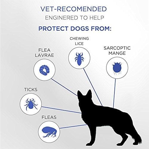 Premium Flea and Tick Collar for Dogs | Prevents and Removes Fleas, Ticks, Lice and Mosquitos in 24 Hours | 8 Months Protection | 100% Natural Essential Oil Flea and Tick Prevention for Dogs