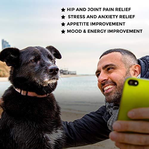 Hemp Oil for Dogs and Cats - USA Made 1500MG Organic Hemp Extract - Joint Pain Relief - Anxiety Relief for Dogs & Cats, Hip & Joint Health Support - with Vitamin A, D and Omega-3, 6