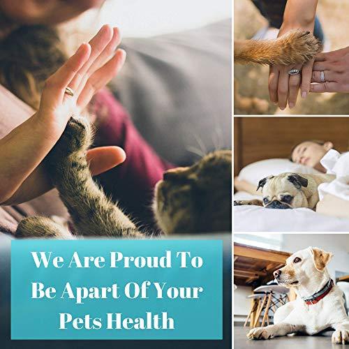 Hemp Oil for Dogs and Cats - 100 % Organic Natural Calming Drops - Anxiety Support - Hip and Joint Health - Pain Relief Stress Reducer for Pets - Omega 3 & 6