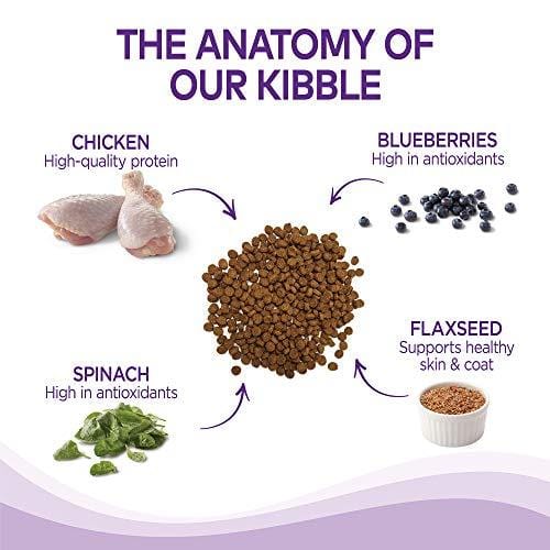 Wellness Complete Health Natural Dry Dog Food, Chicken & Oatmeal, 30-Pound Bag