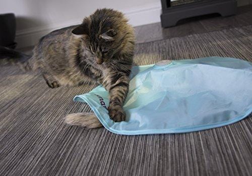 SmartyKat Hot Pursuit Cat Toy Concealed Motion Toy