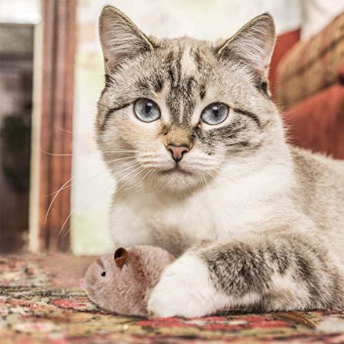 Gigwi Chirpy Cat Mouse Toy Squeak- Cat Toys Interactive Squeaking Mouse Cat Toy Melody Chaser Play N Squeak Kitten Toy, Mouse Sound Cat Toy for Boredom - Ultra Pickleball