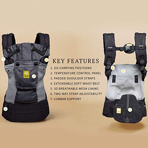 LÍLLÉbaby Complete Airflow Six-Position Baby Carrier, Charcoal/Silver