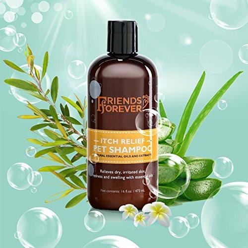 Friends Forever Natural Dog Shampoo for Dry Itchy Skin - Oatmeal Aloe Vera Pet Shampoo for Dog Wash with Flaxseed, Tea Tree and Lavender Oil