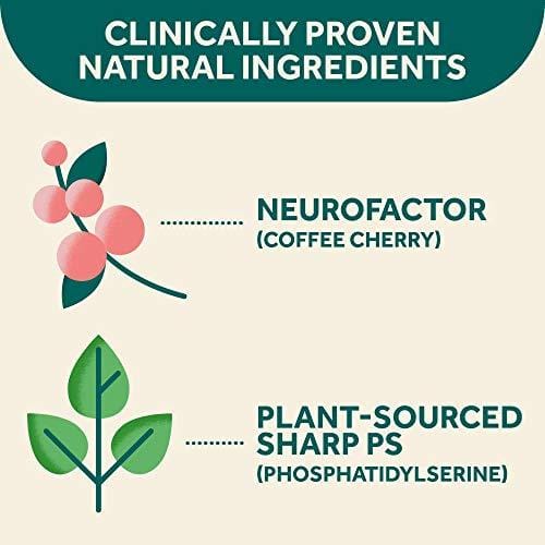 Fast-Acting Brain Supplement - NEURIVA Plus (30Count in a Bottle), Plus B6, B12 & Folic Acid, Supports 6 Indicators of Brain Performance: Focus, Memory, Learning, Accuracy, Concentration & Reasoning