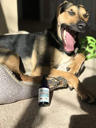 Hemp, Chamomile & Valerian RESTFUL PET Oil - Hemp Oil Supplement for Dogs & Cats Anxiety Relief - Natural, Calming Oil Promotes Relaxation & Stress Reduction to Calm Your Anxious Dog or Cat - 2oz