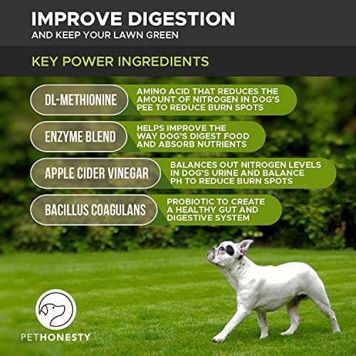 PetHonesty GrassGreen Grass Burn Spot Chews for Dogs - Dog Pee Lawn Spot Saver Treatment Caused by Dog Urine - Cranberry, Apple Cider Vinegar, DL-Methionine Grass Treatment Rocks - 90 Chew Treats