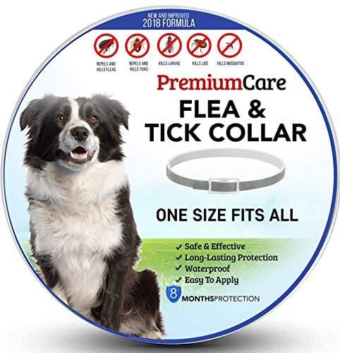 Premium Flea and Tick Collar for Dogs | Prevents and Removes Fleas, Ticks, Lice and Mosquitos in 24 Hours | 8 Months Protection | 100% Natural Essential Oil Flea and Tick Prevention for Dogs