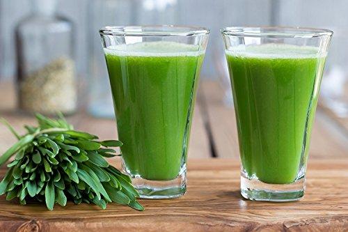 NATURELO Raw Greens Superfood Powder - Best Supplement to Boost Energy, Detox, Enhance Health - Organic Spirulina & Wheat Grass - Whole Food Vitamins from Fruit & Vegetable Extracts - 60 Servings
