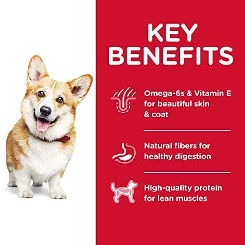 Hill's Science Diet Dry Dog Food, Adult, Small Bites, Chicken & Barley Recipe, 35 lb Bag