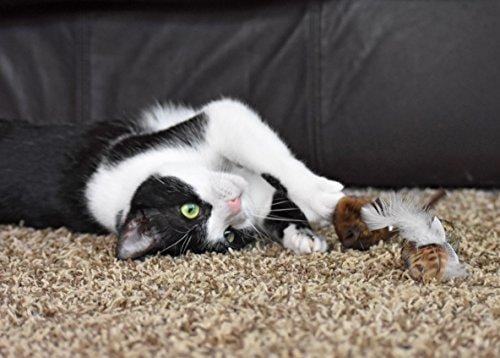 OurPets Play-N-Squeak Twice the Mice Cat Toy, 2pc