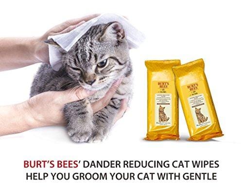 Burt's Bees For Cats Natural Dander Reducing Wipes | Kitten and Cat Wipes For Grooming, 50 Count