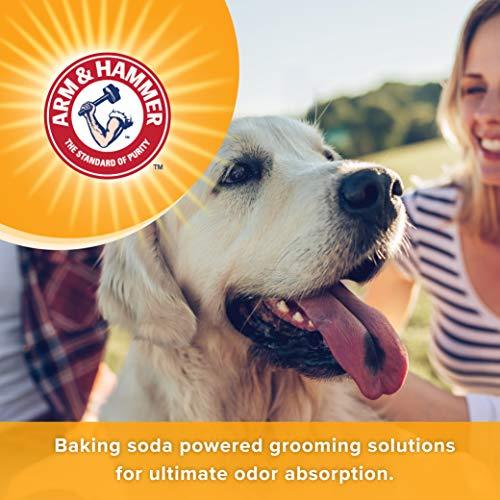 Arm & Hammer Super Deodorizing Shampoo for Dogs | Best Odor Eliminating Dog Shampoo for Smelly Dogs & Puppies, Kiwi Blossom Scent, 16 oz