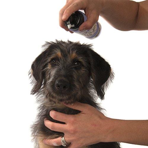 Wahl Pet Friendly Lavender Waterless No Rinse Shampoo - By The Brand Used By Professionals - Model 820014