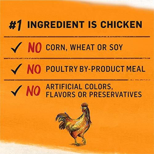 Purina Beyond Grain Free White Meat Chicken & Egg Recipe Adult Dry Dog Food - 23 lb. Bag