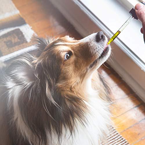 Organic Hemp Oil for Dogs with Calming Treats: Dog Anxiety Relief and Calm Aid for Hyperactive or Aggressive Pets - Daily Supplement to Support Joints, Healthy Skin and Coat - 2 Ounce Dropper Bottle