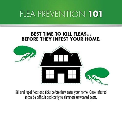 Advecta II Flea Treatment - Flea and Lice Prevention for Dogs, 4 Month Supply