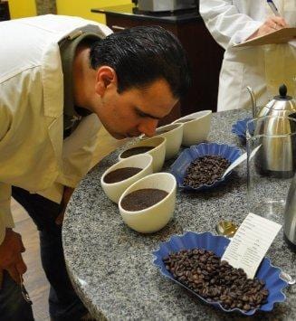 5LB Cafe Don Pablo Subtle Earth Organic Gourmet Coffee - Medium Dark Roast - Whole Bean Coffee - USDA Certified Organic Arabica Coffee - (5 lb) Bag