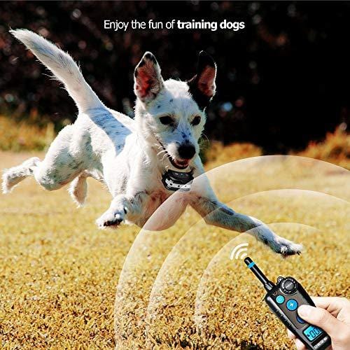 DB Degbit Shock Collar for Dogs with 3 Modes, Dog Training Collar [IP67 Waterproof][Fast Training Result] E-Collar, Dog Shock Collar with Remote, 1000ft Range, Bark Collar, for Small/Medium/Large dogs