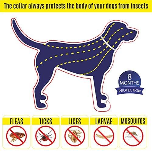 Flea and Tick Collar for dogs - Prevention Essential Oil for Pets / Control 8 month protection feature