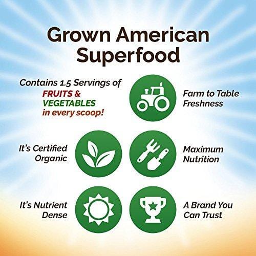 Grown American Superfood | 31 Organic Whole Fruits and Vegetables Condensed into a Single Delicious Drink | Concentrated Green Powder Made to Increase Energy and Performance Packed with Antioxidants