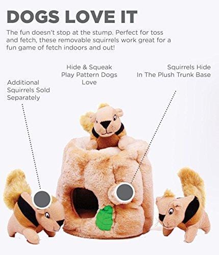 Hide a Squirrel Fun Hide and Seek Interactive Puzzle Plush Dog Toy by Outward Hound, 4 Piece, Junior